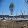 Parcarea de peste 2400 de locuri de la Iulius Mall Suceava rămâne deschisă și după 15 mai