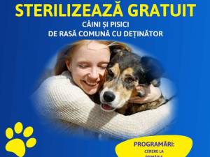 Campanie de sterilizări gratuite pentru 700 de animale de companie, în municipiul Suceava