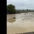 Un pod temporar construit peste râul Râșca a inundat trei gospodării și a distrus multe hectare de culturi agricole