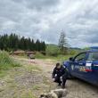 Femeie prinsă de jandarmi în timp ce târa un câine legat de mașină