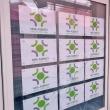 Protecția Consumatorilor este decisă să închidă firma de modelling reclamată că înșală sucevenii care aspiră la o carieră de model