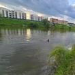 Bărbatul salvat de la înec duminică seară ar fi vrut să se sinucidă
