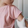 Peste 300 de oameni au fost vaccinați antirabic în județul Suceava, de la începutul anului, după ce au fost mușcați de animale