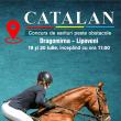 Spectacol cu cai, cascadorii și airsoft cu „Frăția Lupilor”, în weekend la Școala de Echitație Equestrian Dreams din Mitocu Dragomirnei