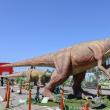 Sâmbătă se deschide la Iulius Mall Suceava expoziția de animale marine gigant și dinozauri animatronici. 50 de exemplare!