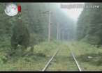 Trenuri blocate de zeci de copaci rupţi, din cauza unei furtuni violente