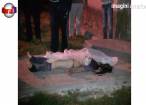 Crimă terifiantă într-un bloc din Câmpulung Moldovenesc