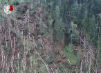 2.335 de hectare de pădure, afectate de doborâturile de vânt, la Moldoviţa