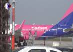 Zborul de la Suceava la Bologna a fost anulat după ce o pasăre a intrat în motorul avionului