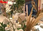 Surprize spectaculoase pentru viitorii miri, la târgul de nunţi Trend Mariaj de la Shopping City Suceava
